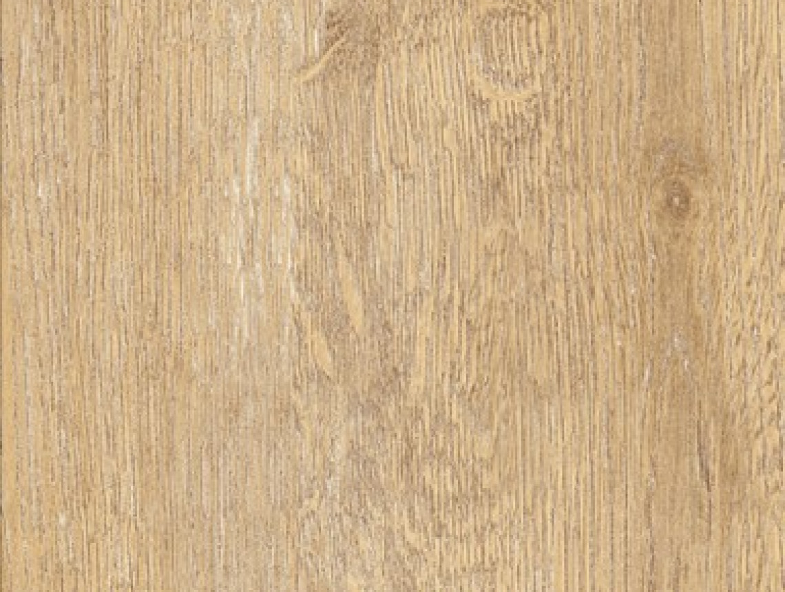 Creation 55 Looselay Acoustic - 0441 Honey Oak